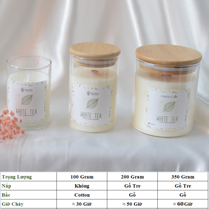 Nến thơm trong lành và thanh mát AGAYA Candle Cup hương cam,xạ hương,hoa nhài,bạch trà - Mùi WHITE TEA