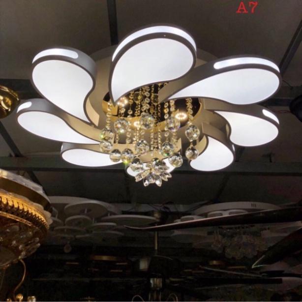 Đèn trần led hoa DT DDT