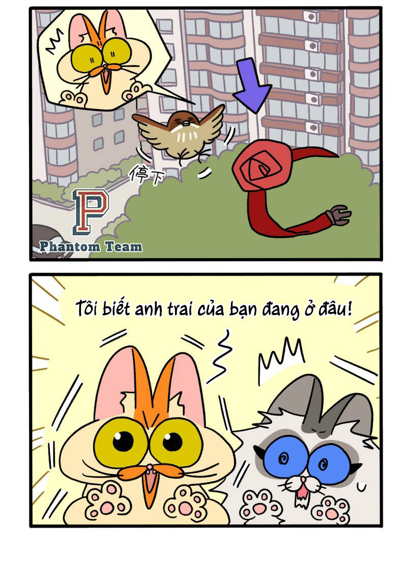 a mãn và mạch trà chapter 44 4