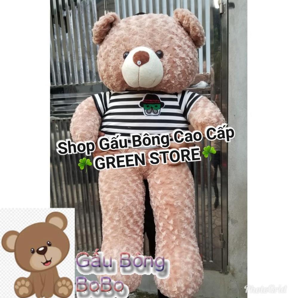 1M4 khổ, Gấu Bông teddy 1m4 khổ cao 1M2 Rẻ Vô Địch