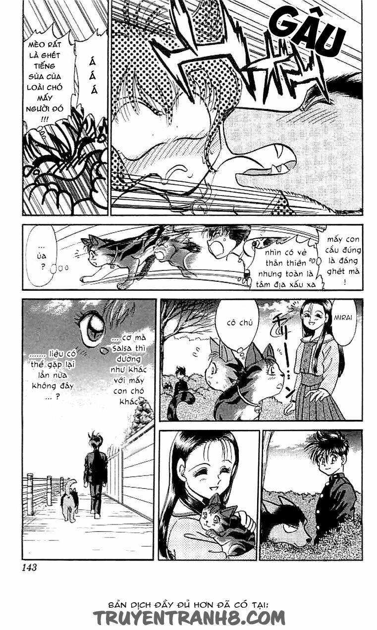 wild half chapter 5 19