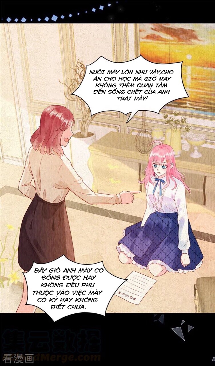 cô thỏ nhỏ của chủ tịch sói chapter 2 6