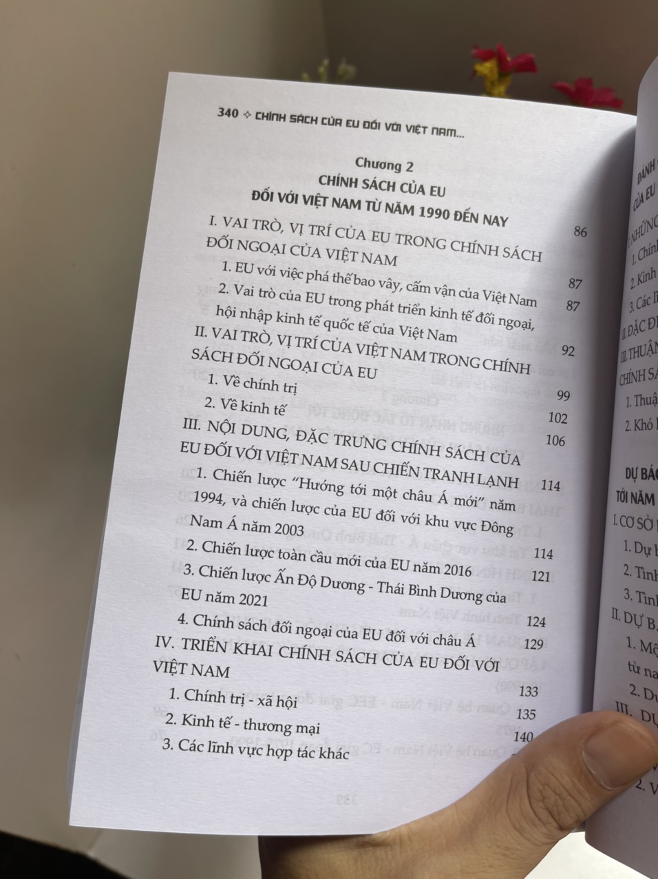 CHÍNH SÁCH CỦA EU ĐỐI VỚI VIỆT NAM THỰC TIỄN VÀ TRIỂN VỌNG – Trần Thanh Huyền, Tào Minh Hồng & Nguyễn Thái Yên Hương - NXB CTQGST