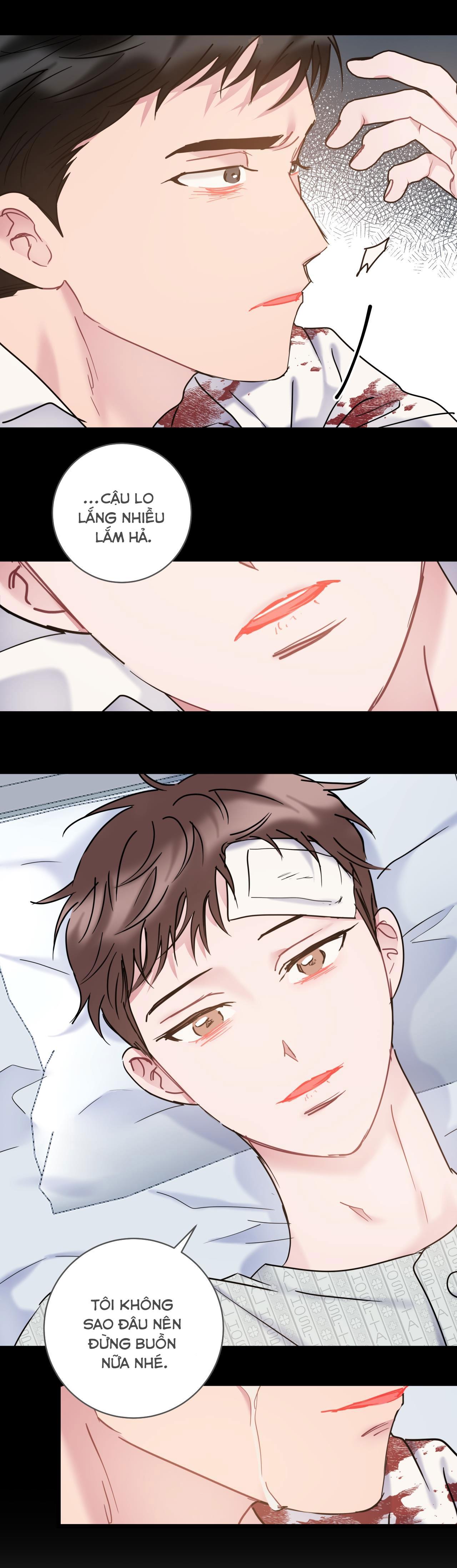 tình yêu bình dị nhất chapter 26 28