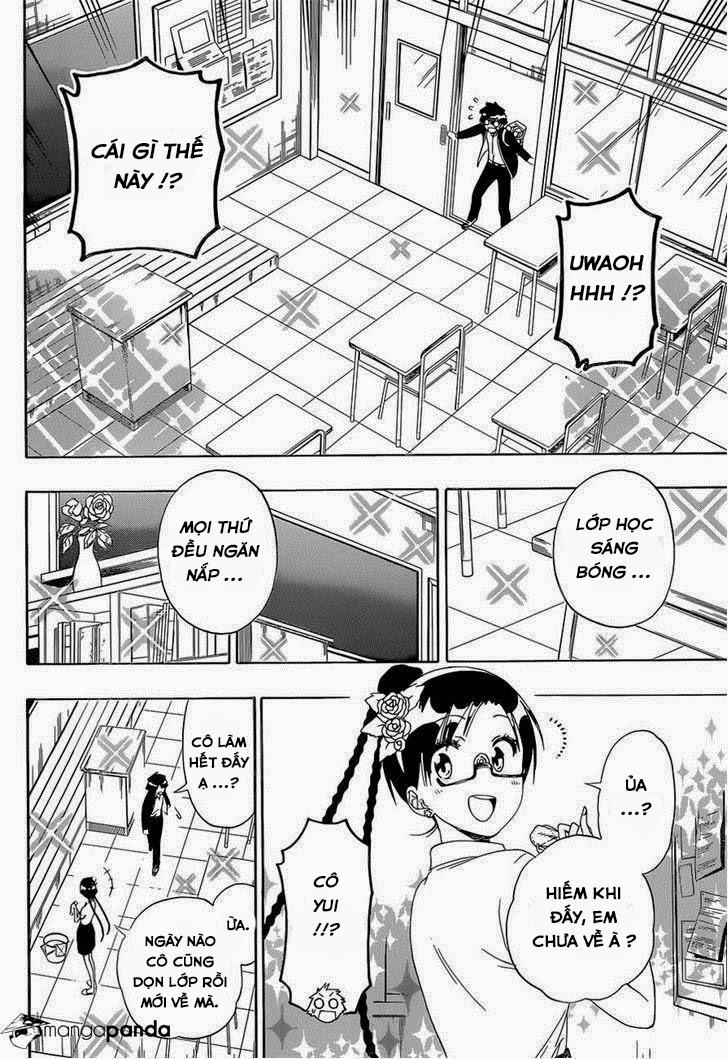 nisekoi - tình yêu giả tạo chapter 146 14