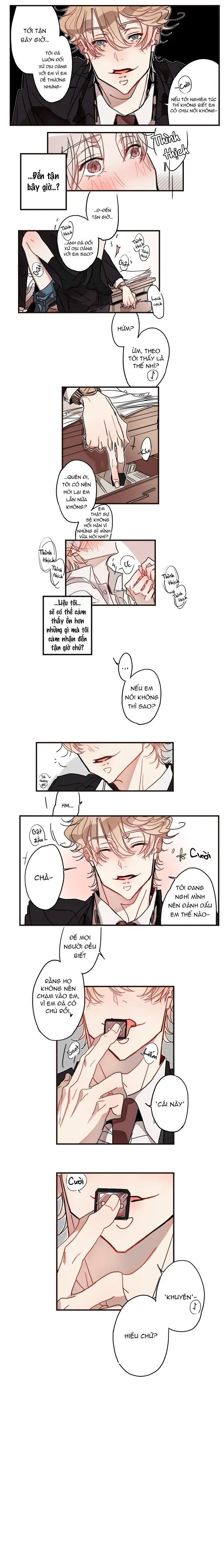 này thỏ ơi chapter 3 4