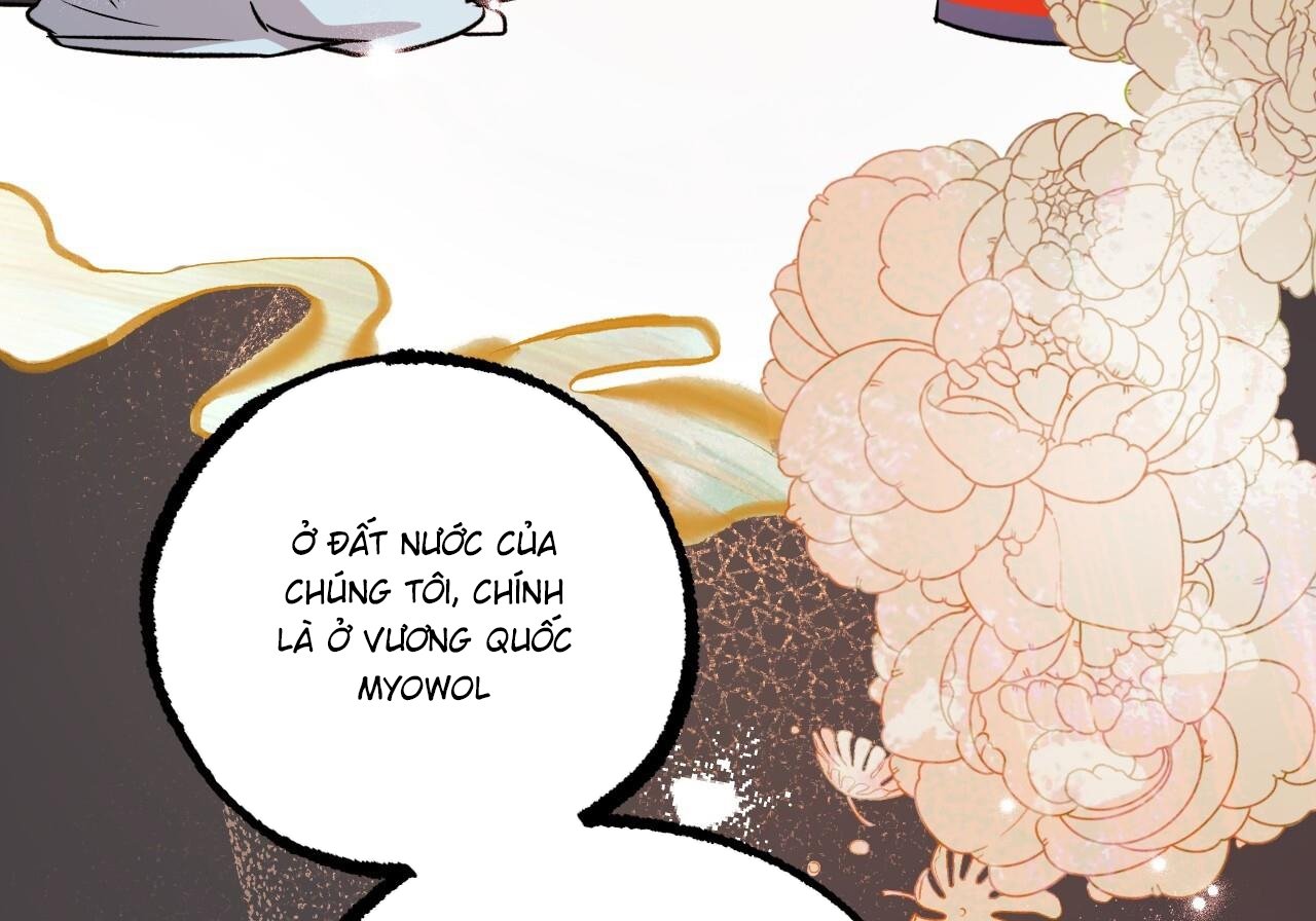 những chú thỏ của hapypy chapter 60 142