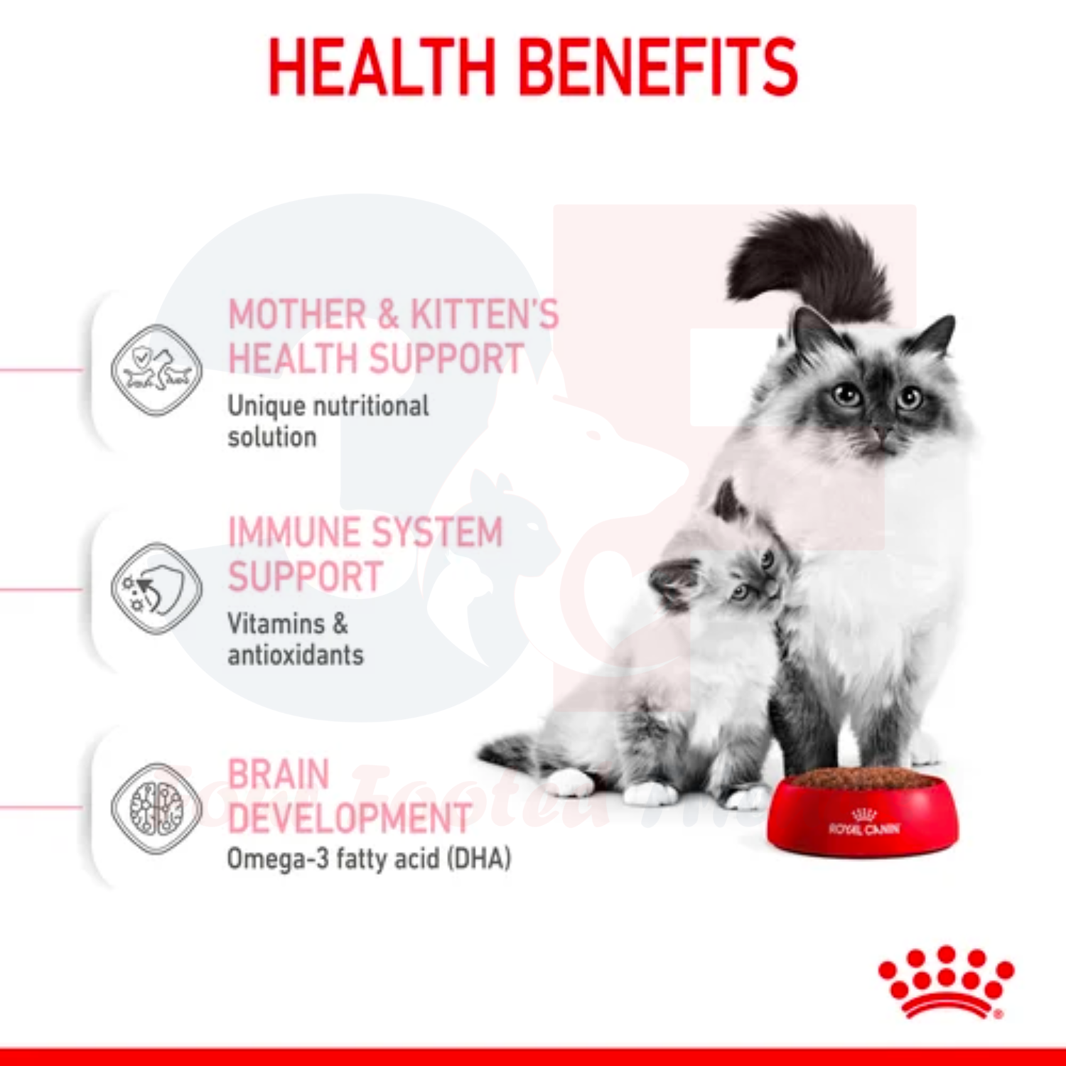 Thức Ăn Cho Mèo Mang Thai Và Mèo Con Royal Canin Mother Anh Babycat