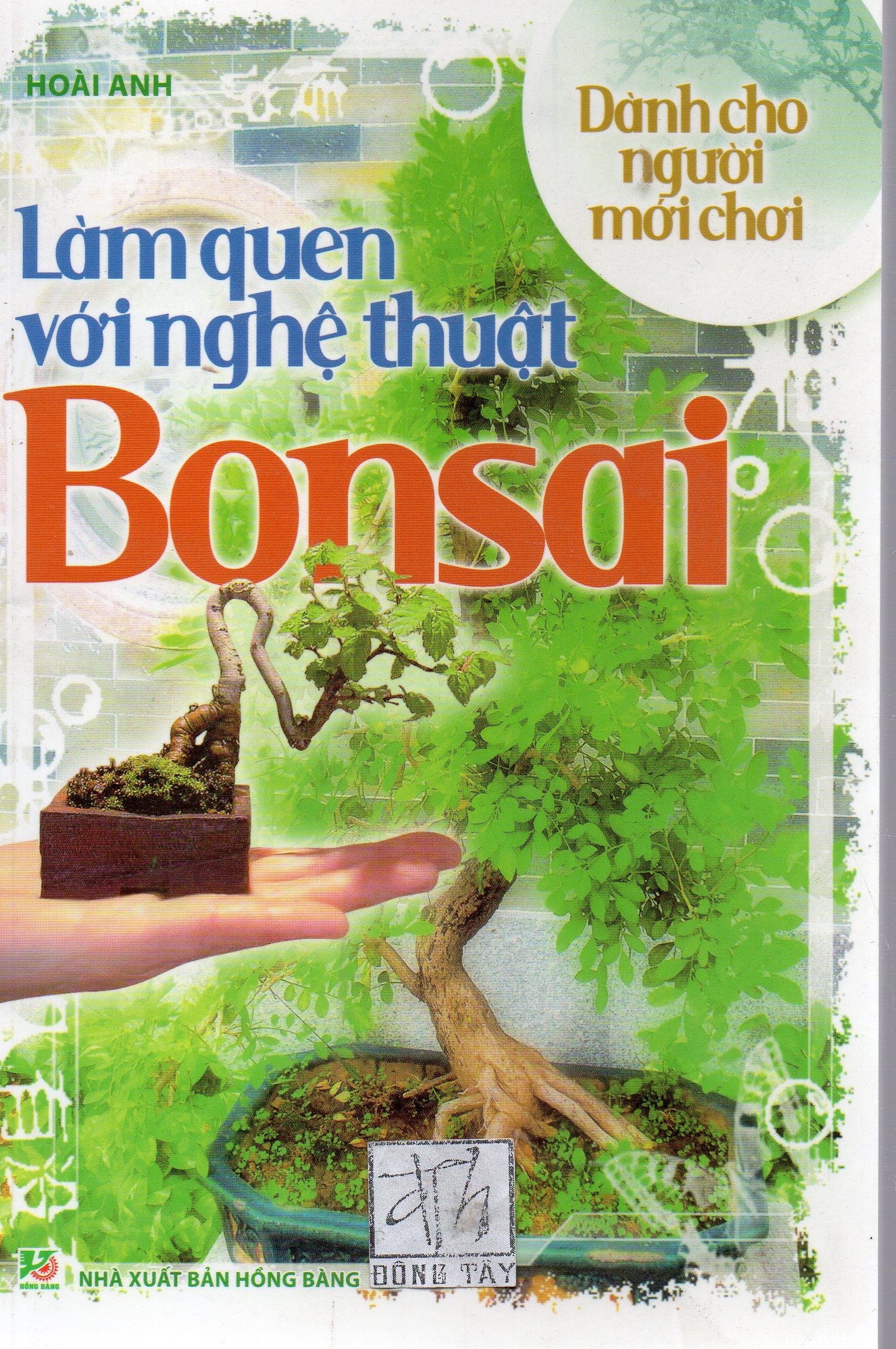 Làm quen với nghệ thuật Bonsai - Dành cho người mới chơi