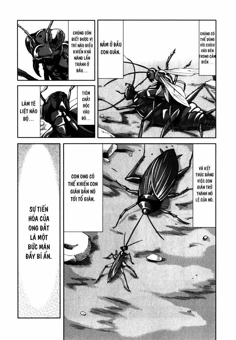 arachnid chapter 26 29