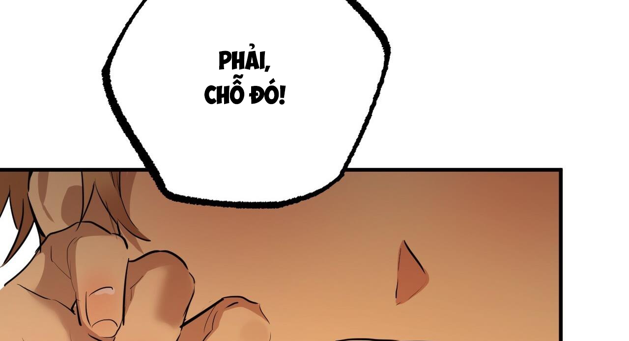 đàn thỏ của habibi chapter 27 41