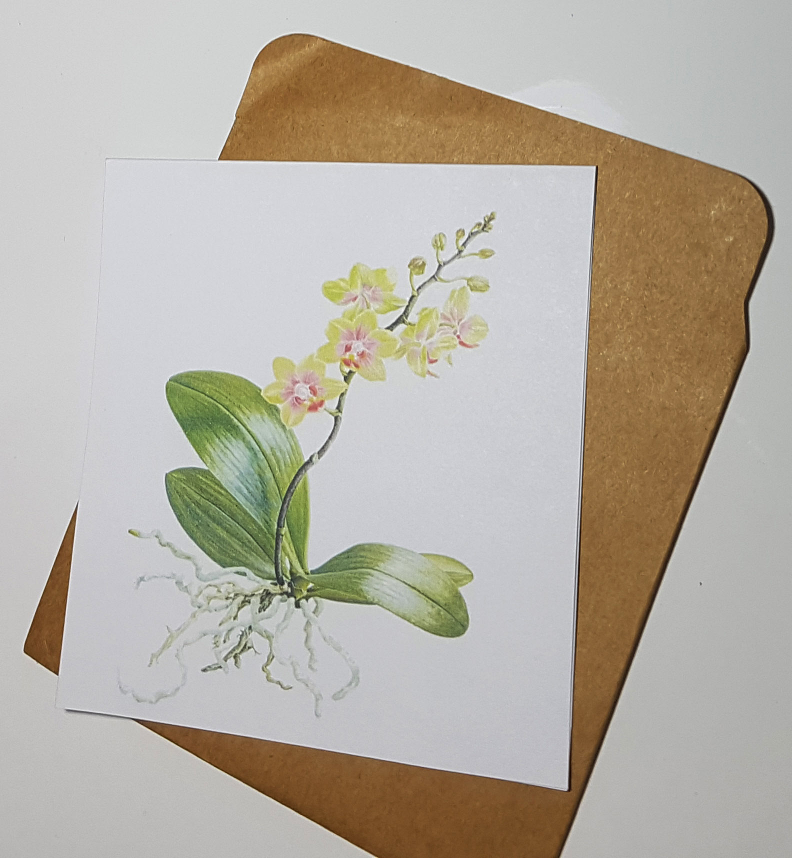 Thiệp phong cách Vintage card quà cám ơn ,chúc mừng sinh nhật và giử tặng người thân yêu