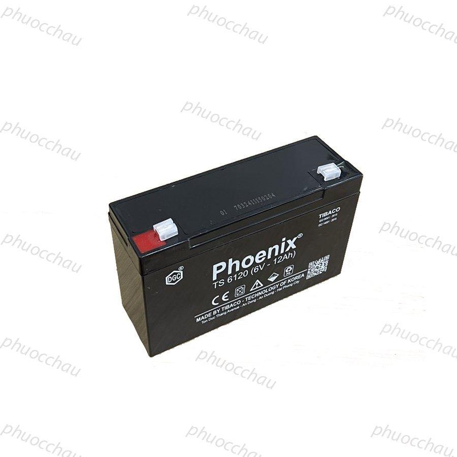 Ắc Quy PHOENIX TS6120 6V-12Ah - Chuyên Dùng Cho Nguồn Dự Phòng (UPS, Inverter, ...)