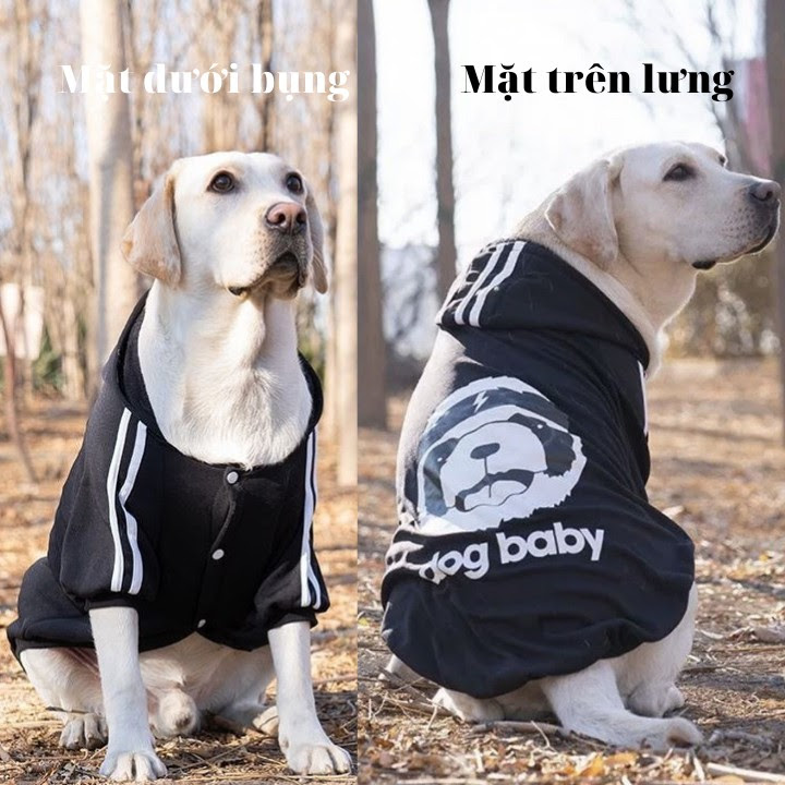 ÁO HOODIE CHO CHÓ DOG BABY CHO CHÓ LỚN - SP000611