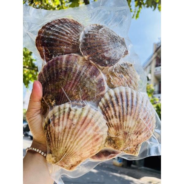 Sò điệp Nhật lớn nguyên con nướng phô mai mỡ hành - 1kg