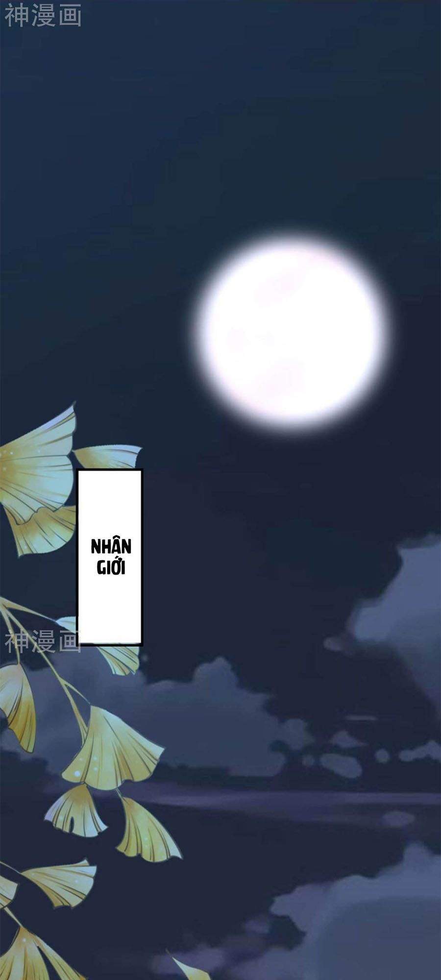 từ đây vương gia không thượng triều sớm chapter 101 19