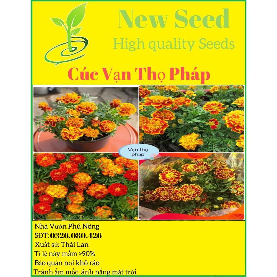 Hạt Giống Hoa Cúc Vạn Thọ Pháp F1 Siêu Dễ Trồng & Hoa Nở Đẹp Tặng kèm Hướng Dẫn\