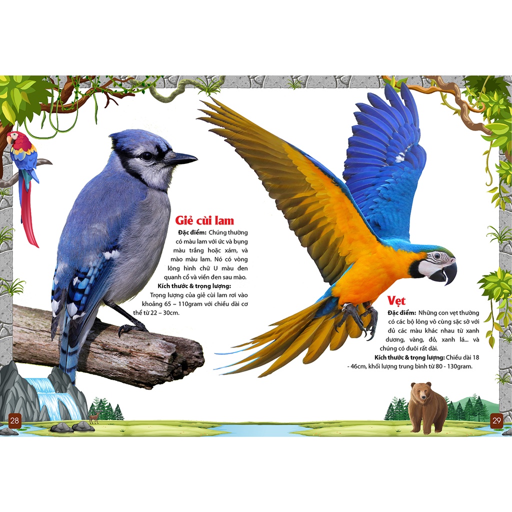 Khám Phá Động Vật 5 Châu Châu Mỹ -