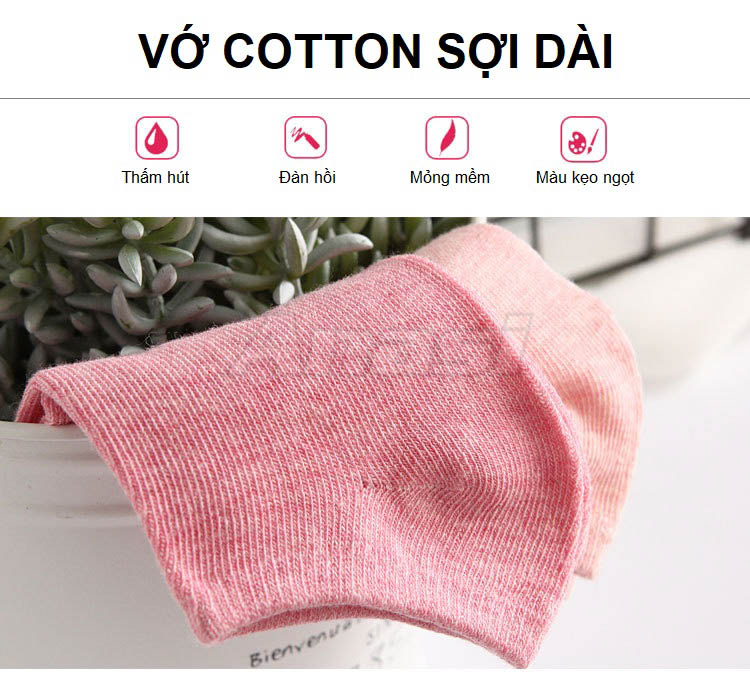 Combo 4 đôi vớ nữ/ Tất nữ cotton cổ ngắn loại mềm mỏng đi mùa hè Anasi VN095 | BST màu kẹo ngọt