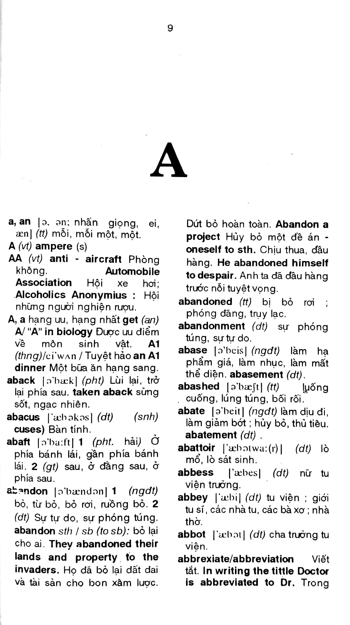 Từ Điển Anh Việt 79.000 Từ - ảnh 8