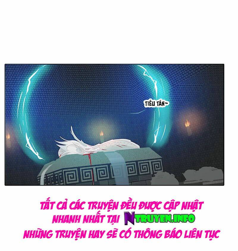 tướng quân mời ra trận chapter 77 16