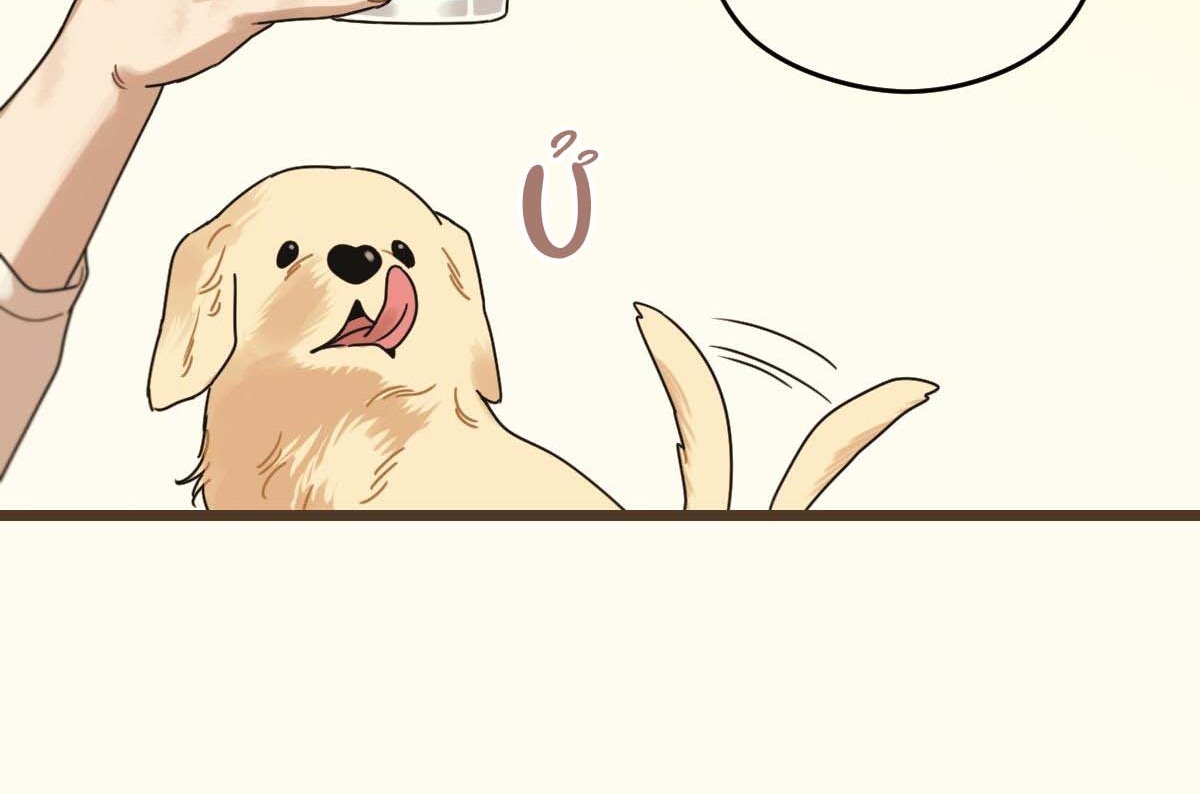 tương phùng chapter 27 71