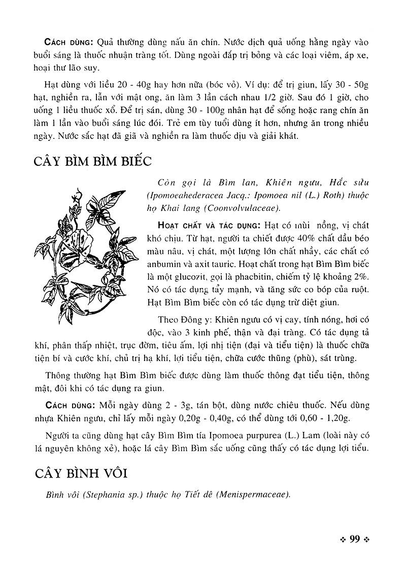Cây Thuốc Nam - Những Bài Thuốc Quý Từ Dân Gian