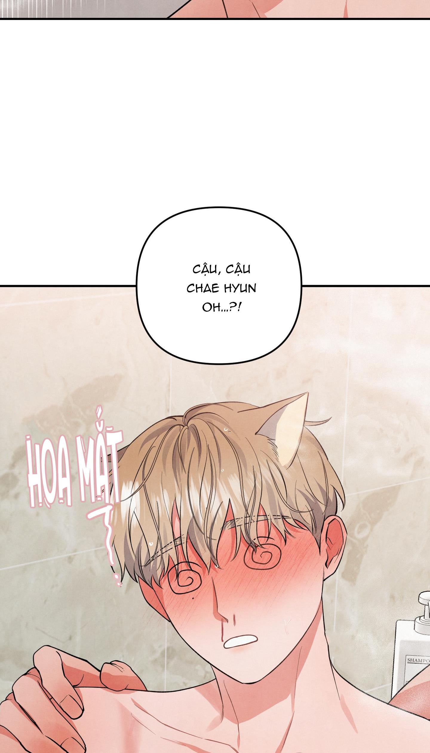 mối quan hệ ngu ngốc chapter 52 41