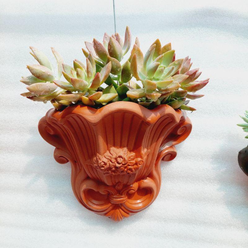 Chậu đất nung Bình Dương - Ốp tường hoa, miệng chậu 20cm x 9cm, chiếu cao 23cm