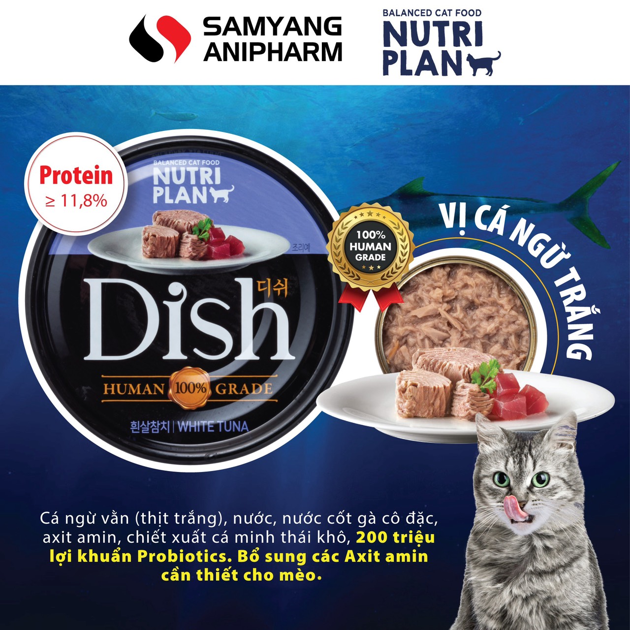 Pate cao cấp cho mèo Nutri Plan Dish 85g nhập khẩu Hàn Quốc