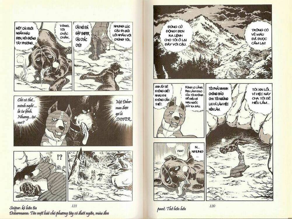 chú chó có nghĩa - ginga nagareboshi gin chapter 16 8