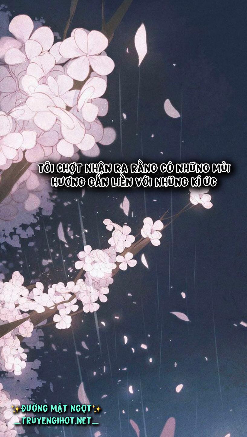 nỗi buồn của hoa cẩm tú cầu chapter 1 1