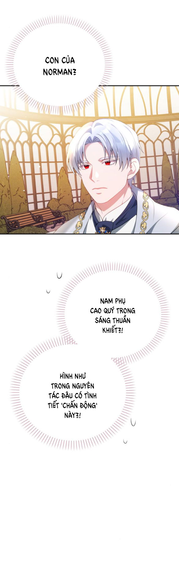 tôi sẽ ly hôn với người chồng bạo chúa chapter 51.1 12