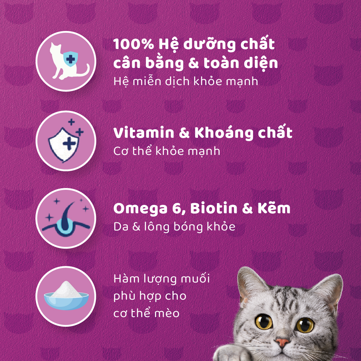 WHISKAS Combo 12 Thức Ăn Cho Mèo Trưởng Thành Dạng Pate Mix 3 Vị 400G (dạng lon)