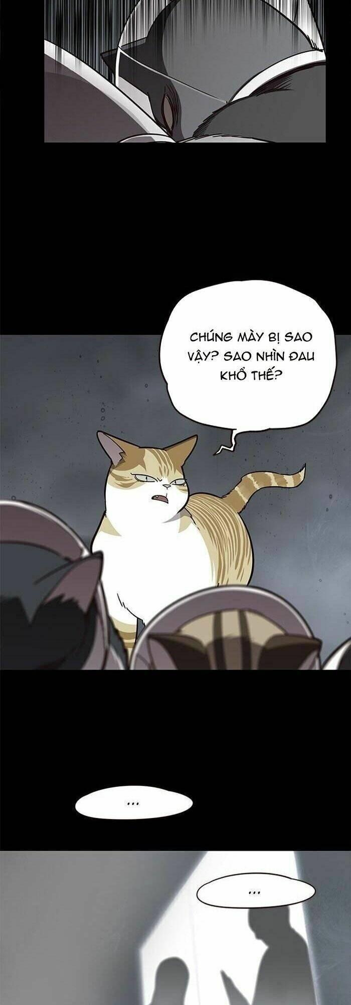 biến thân thành mèo chapter 56 6