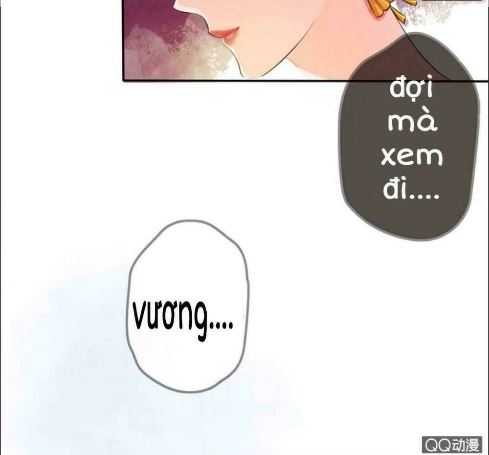 sủng phi của vương chapter 10 15