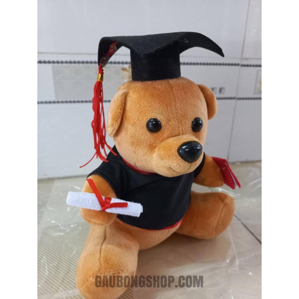 Gấu bông tốt nghiệp dễ thương 20cm, teddy cử nhân cute