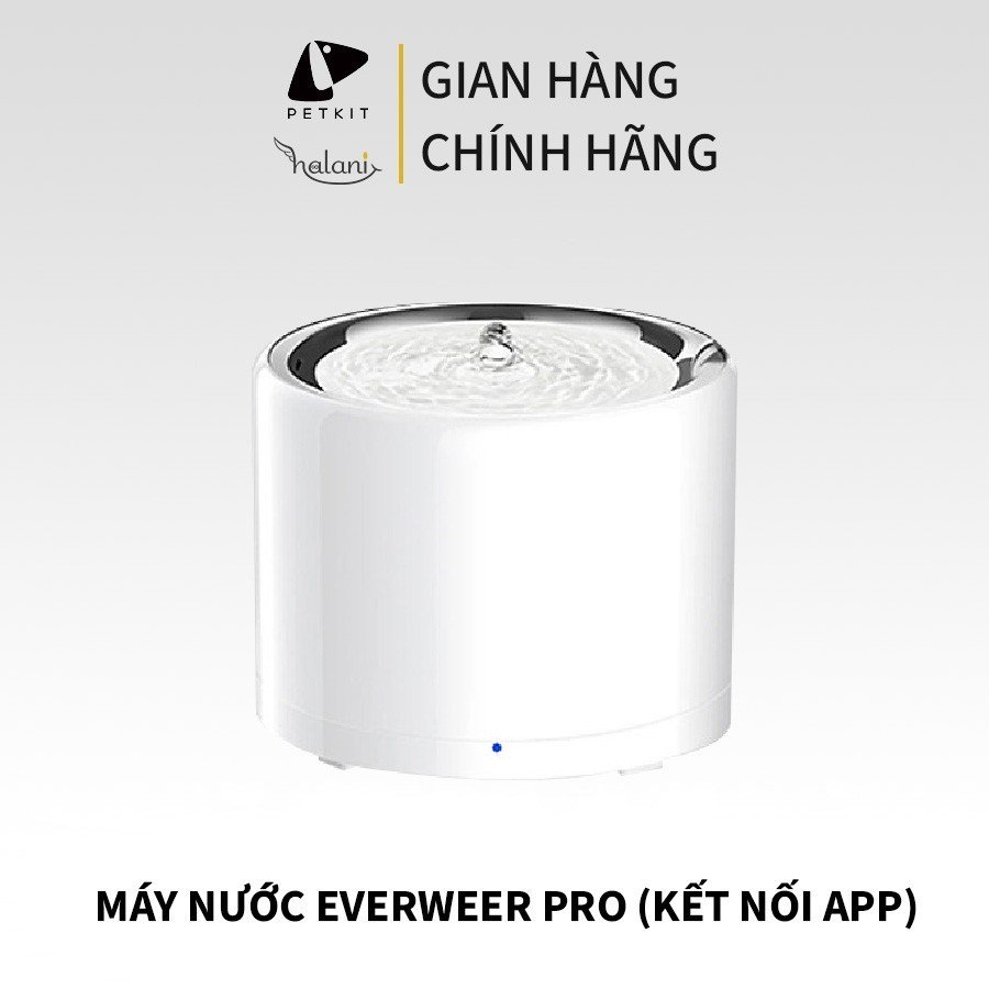 Máy nước everweer Pro