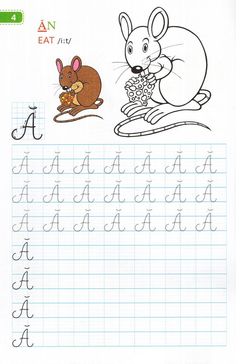 Sách Tập Viết Chữ Đẹp &amp; Tô Màu - Kiểu Chữ Hoa (Khổ Nhỏ)