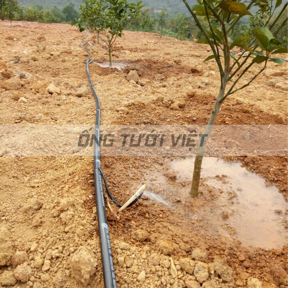 200m Ống dây tưới mềm Nguyễn Tân phi 21 - Không đục lỗ | Ống mềm sử dụng trong hệ thống tưới nông nghiệp