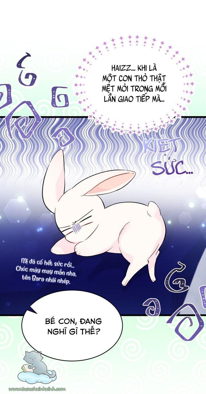 quan hệ cộng sinh giữa báo đen và thỏ trắng chapter 56 18