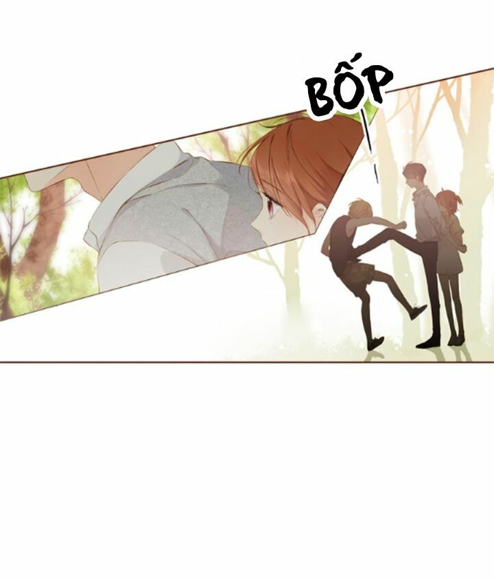 Tình yêu là màu hoa anh thảo chapter 36.1 14