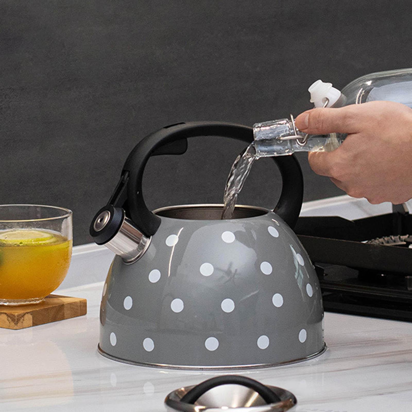 Whistling Kettle with Heat Resistant Handle Hiking Teapot for Boiling Coffee