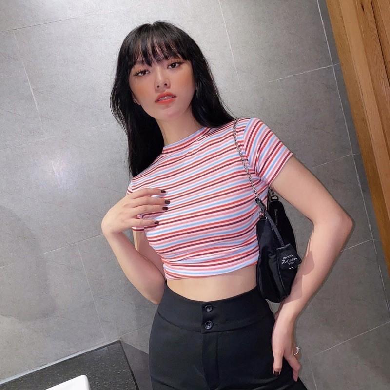 Áo nữ crop sọc tay ngắn