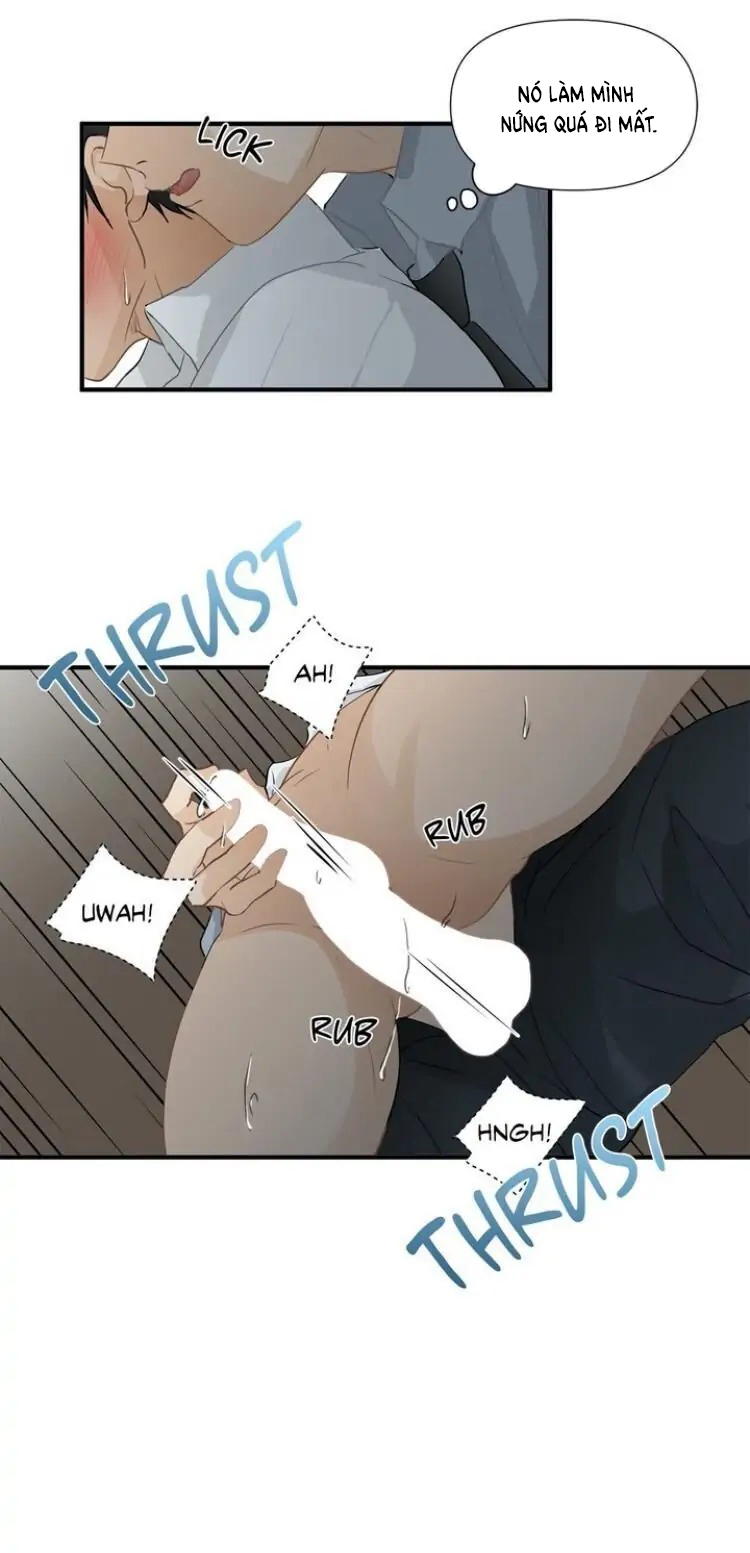 từ đầu xuống chân chapter 8 8