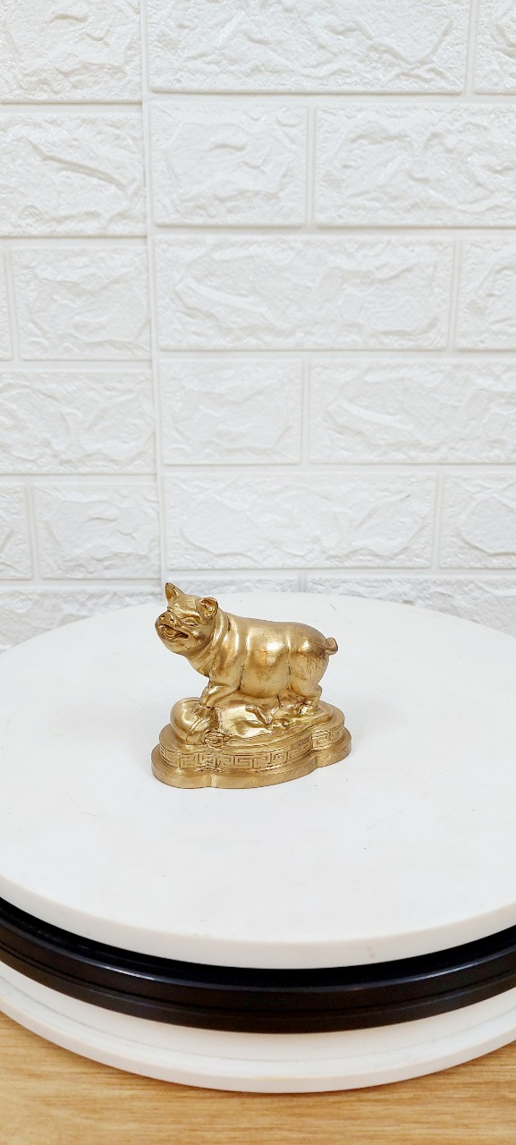 Tượng Lợn Bằng Đồng Phong Thủy