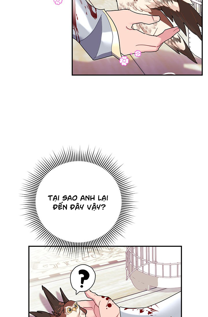 công chúa của loài chim chapter 22 37