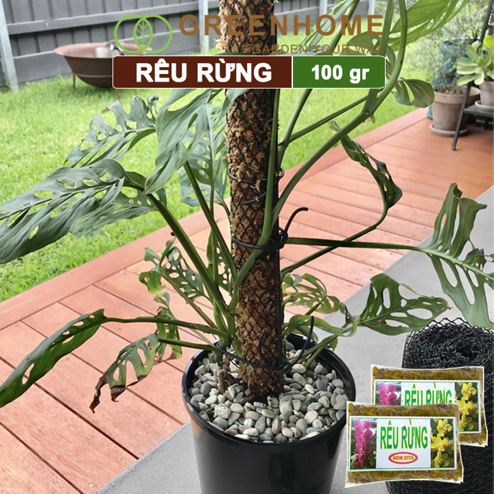 Rêu rừng, bao 100gr, đã qua xử lý, giữ ẩm tốt, chuyên phong lan, kiểng lá | Greenhome