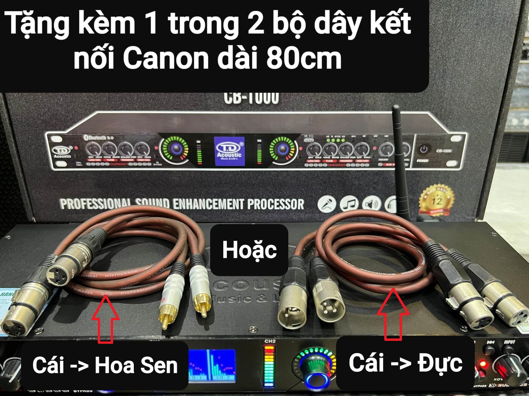 Nâng tiếng TD Acoustic CB-1000: Hàng loại 1, Có Bluetooth, Cổng quang, Tiếng hay, Tặng kèm bộ dây Canon kết nối