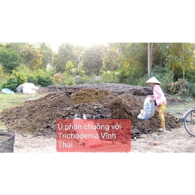 Chế phẩm sinh học Trichodema, sử lý nấm bệnh thối rễ, ủ phân chuồng